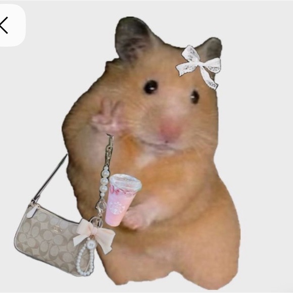 katiedufficy